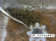 125日1100℃ 3年